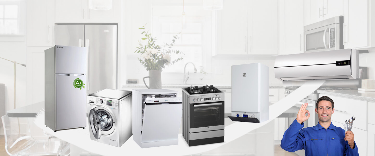 Doğankent Electrolux Servisi
